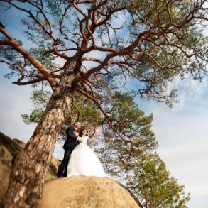 Вікторія Лизан Фотограф на свадьбу