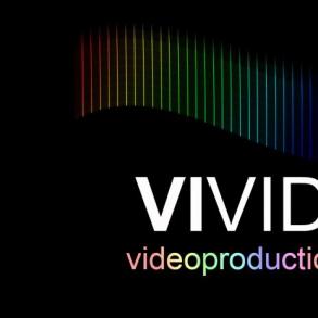 vivid vivid