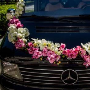 Мерседес Віто Автомобільний кортеж на весілля