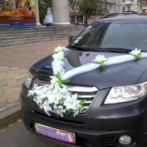 Юрий Хмара Автомобильный кортеж на свадьбу